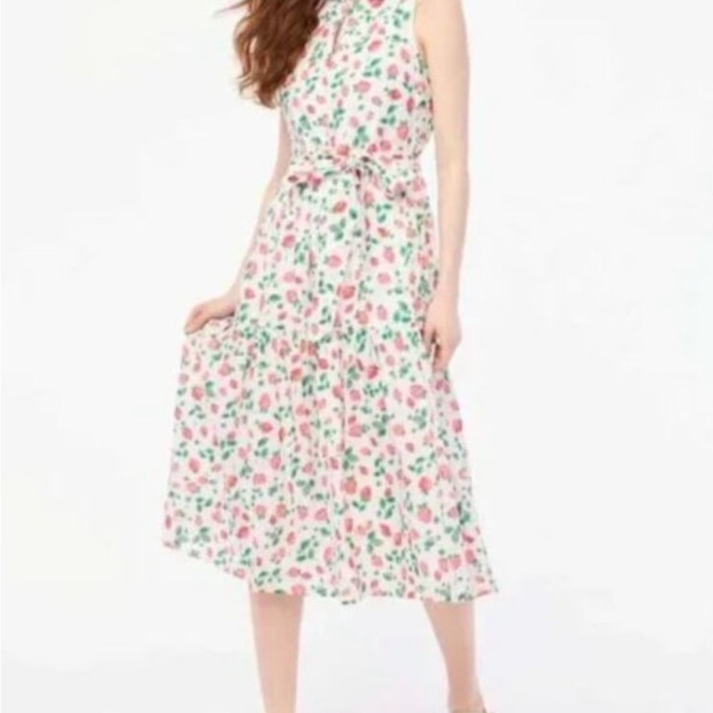Jcrew strawberry medí dress